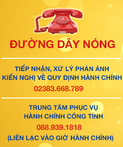 Đường dây nóng